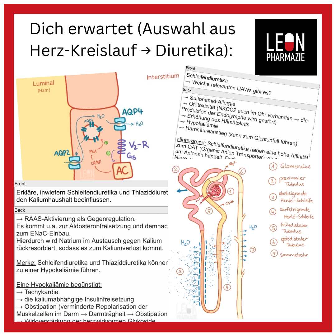 Kombi: Basisset + Vertiefungsset Pharmakologie - 1048 Karteikarten