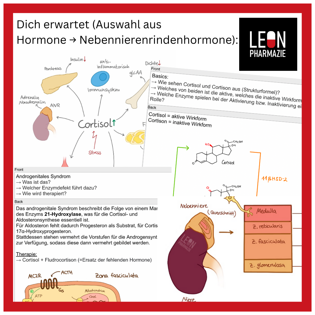 Kombi: Basisset + Vertiefungsset Pharmakologie - 1048 Karteikarten