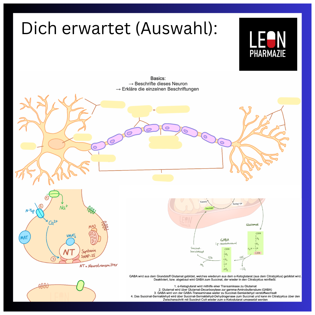 Basics ZNS-Pharmakologie (Einzelthema) - 9 Karteikarten