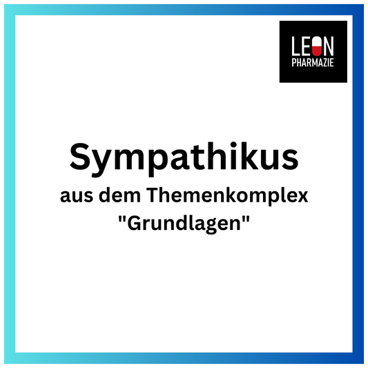 Sympathikus (Einzelthema) - 38 Karteikarten