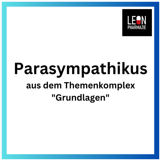 Parasympathikus (Einzelthema) - 25 Karteikarten